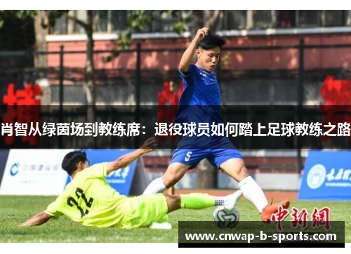 肖智从绿茵场到教练席：退役球员如何踏上足球教练之路