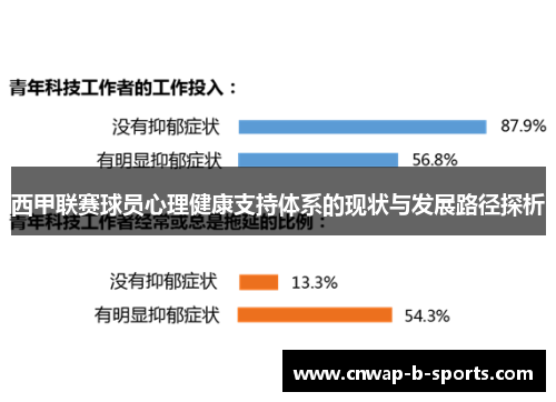 西甲联赛球员心理健康支持体系的现状与发展路径探析