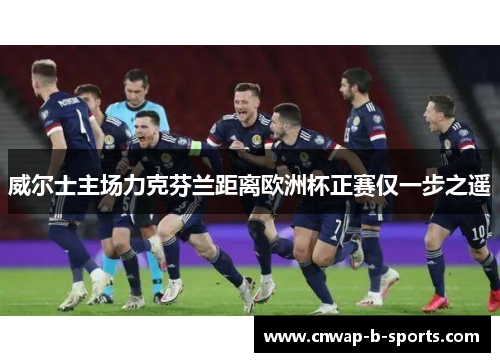 威尔士主场力克芬兰距离欧洲杯正赛仅一步之遥