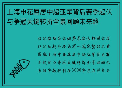 上海申花屈居中超亚军背后赛季起伏与争冠关键转折全景回顾未来路