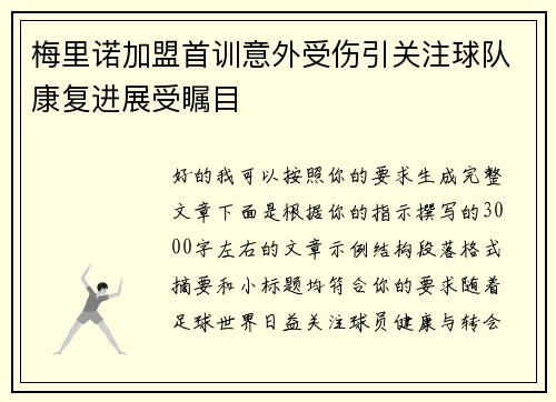 梅里诺加盟首训意外受伤引关注球队康复进展受瞩目