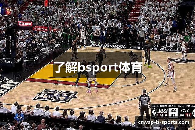 了解bsport体育